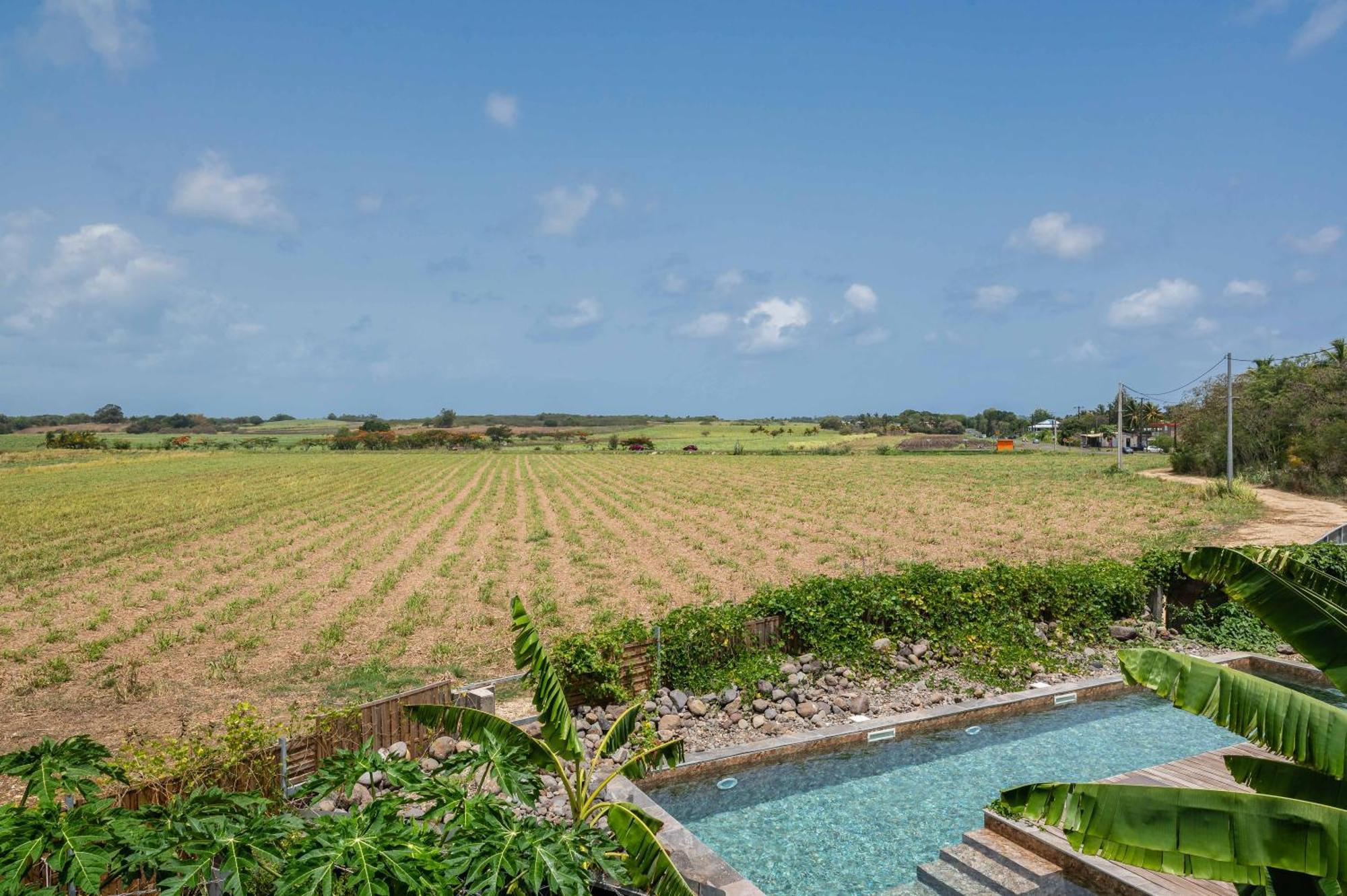 T2 Moderne Avec Piscine Oasis De Nature Et Serenite Petit-Canal Eksteriør bilde